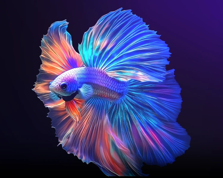 AUO ALED MicroLED Display showcasing a vibrant and highly detailed image of a colorful betta fish, highlighting its superior color accuracy and resolution.