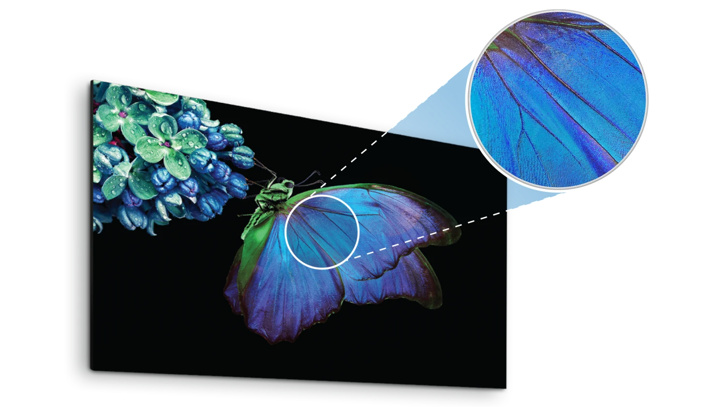 Comparison of MicroLED display and other display technologies: AUO Creative LED Display delivers sharper details, vivid colors, and higher contrast, enhancing visual clarity and realism compared to conventional displays.