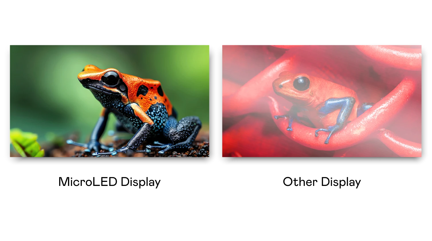 Comparison of MicroLED display and other display technologies: AUO Creative LED Display delivers sharper details, vivid colors, and higher contrast, enhancing visual clarity and realism compared to conventional displays.